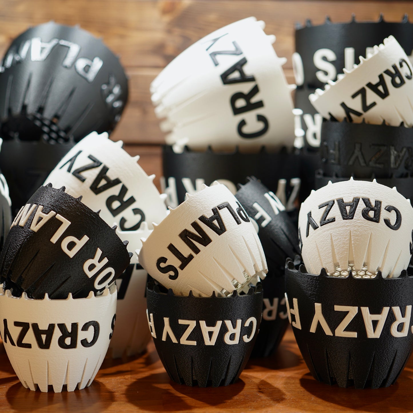 CRAZY FOR PLANTS POT WHITE×BLACK Lサイズ