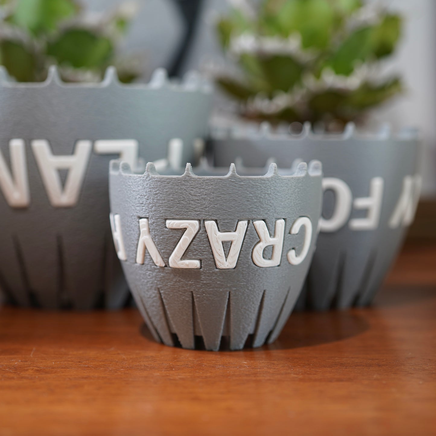 CRAZY FOR PLANTS POT Light gray × White Sサイズ