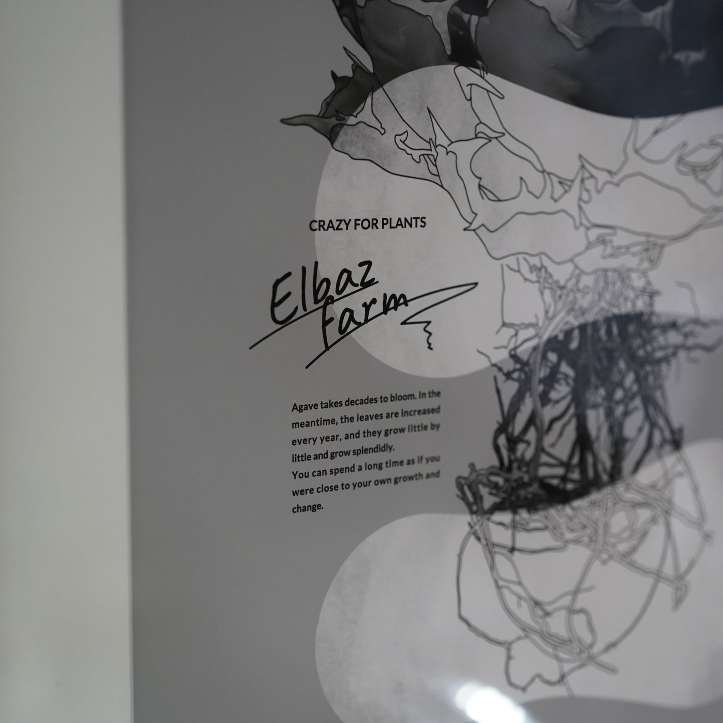 ELBAZ FARM ORIGINAL POSTER