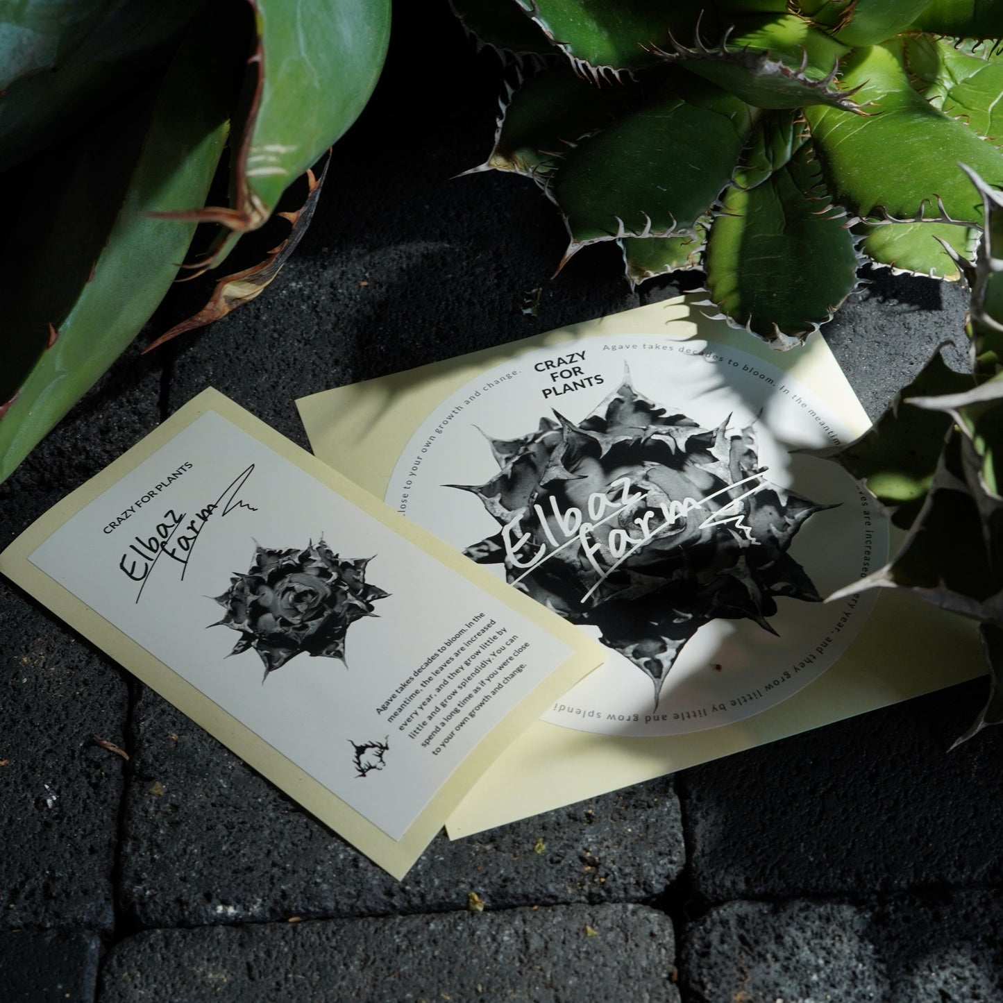 ELBAZ FARM ORIGINAL STICKER