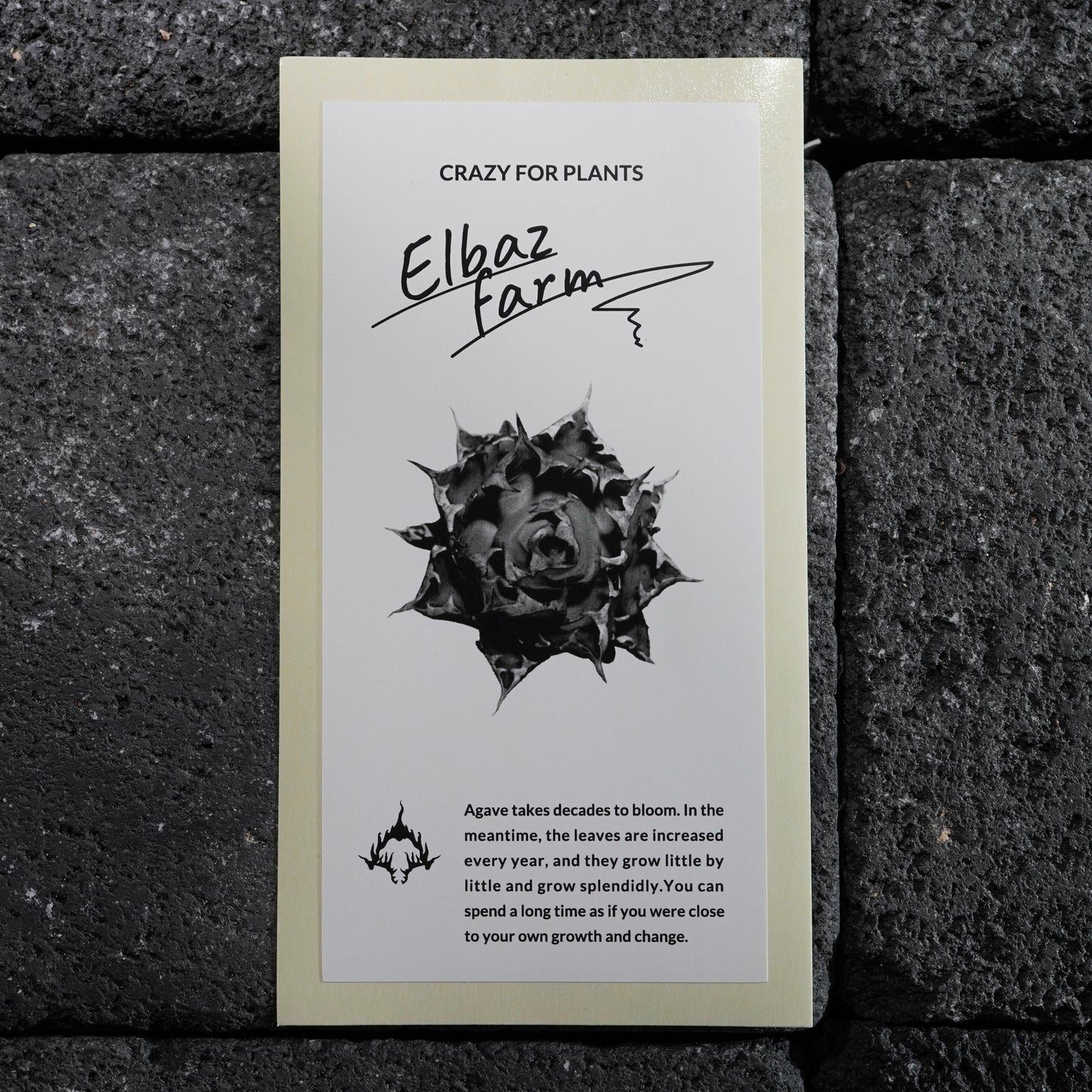 ELBAZ FARM ORIGINAL STICKER