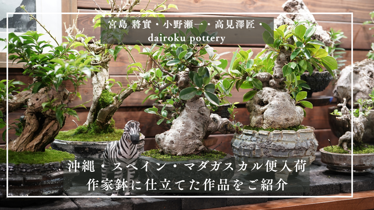 動画を読み込む: 