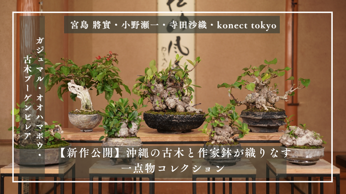 動画を読み込む: 