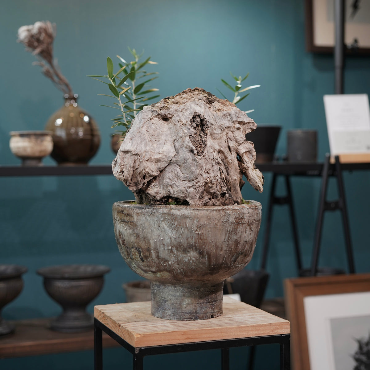 Mini-mini Old olive（古木オリーブ） ×小野瀬一 “archaic” No.2