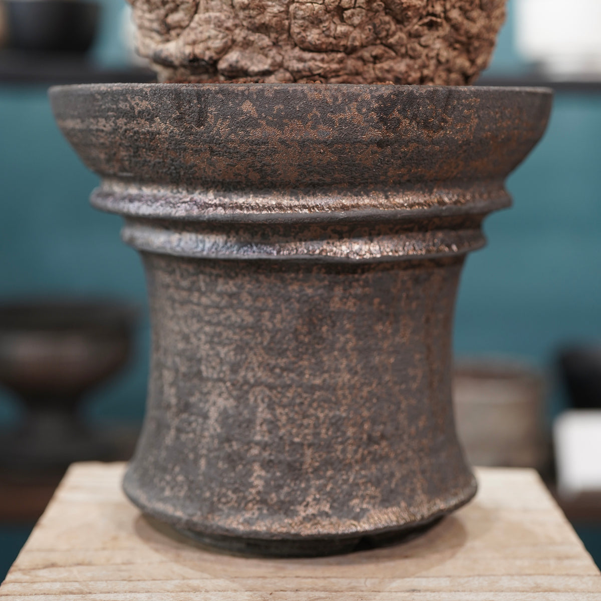 Operculicarya pachypus(オペルクリカリア・パキプス) × dairoku_pottery“金属結晶鉢”